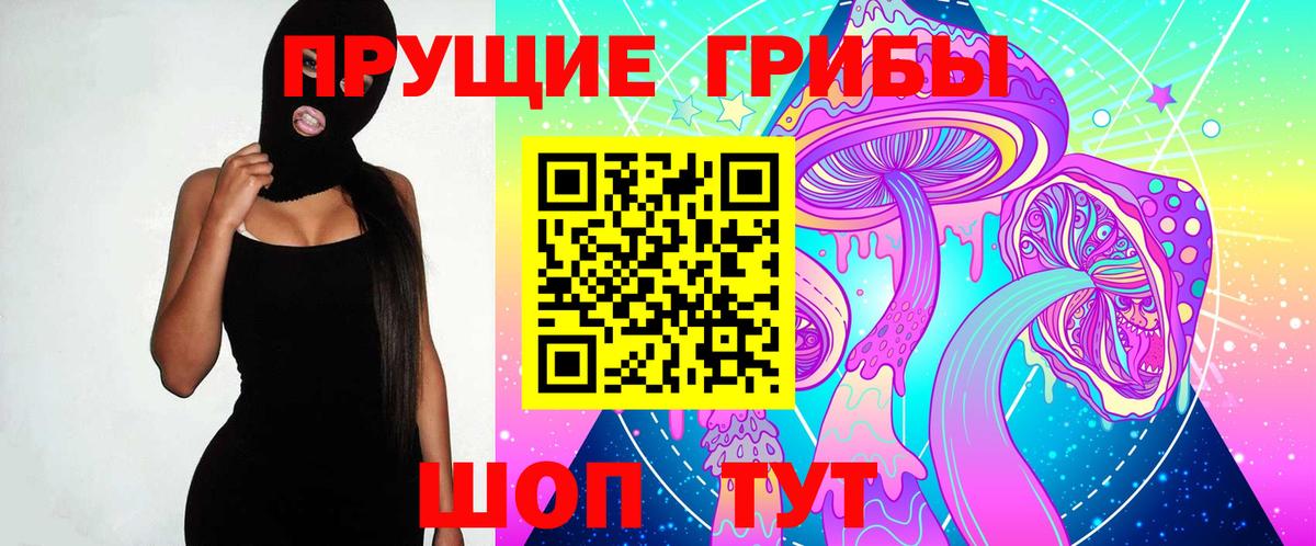 Псилоцибиновые грибы GOLDEN TEACHER  Вход с VPN  где купить   Волгоград 