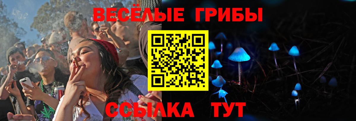 Псилоцибиновые грибы прущие грибы Волгоград